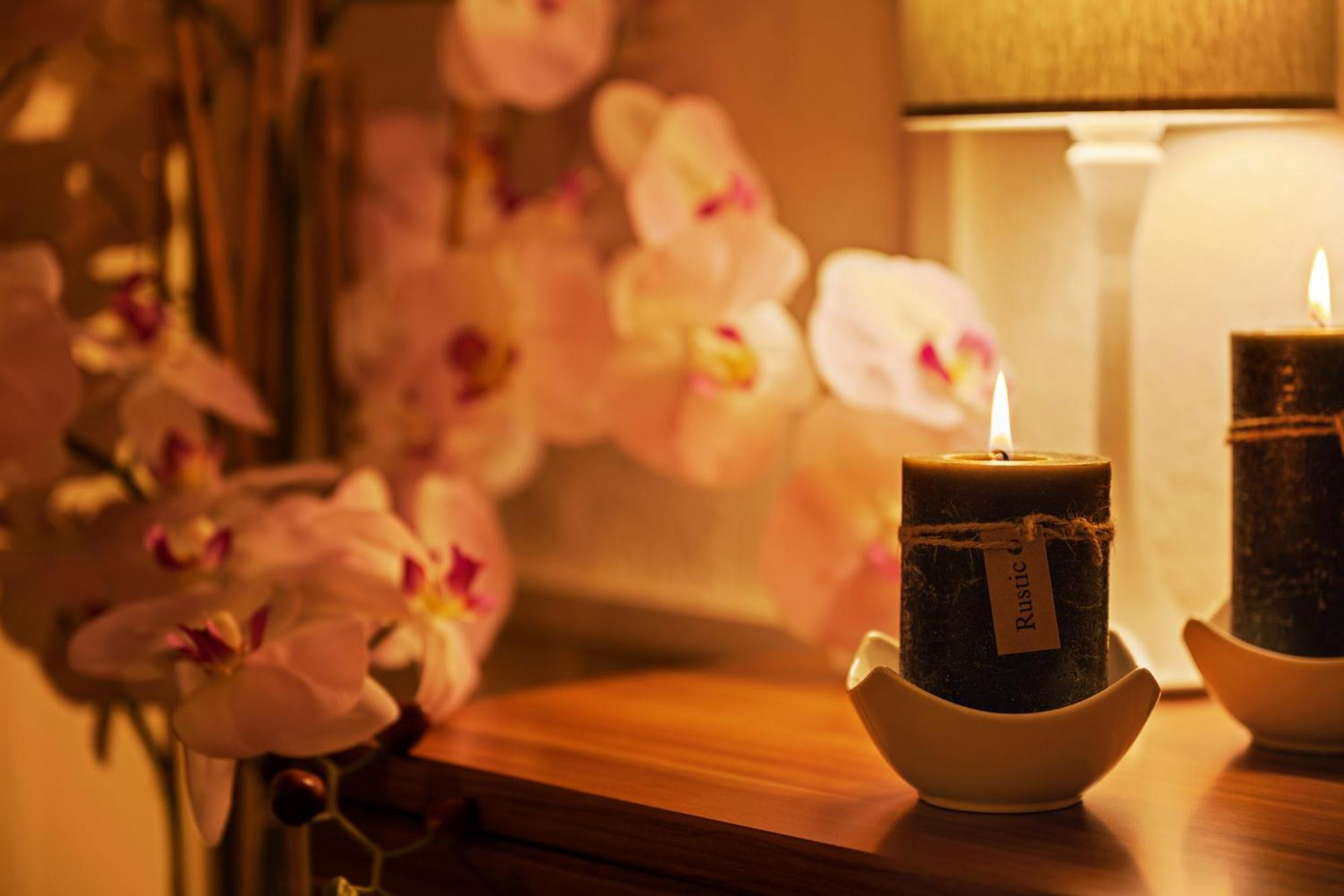 Meissen Altstadt Smartluxusoase Wlan Netflix Magenta Disney+ エクステリア 写真